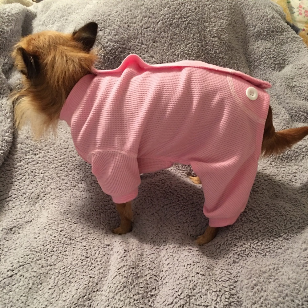 One pair PETRAGEOUS puppy pajamas. There pink for your Princess. Size Small. - Picture 4 of 7